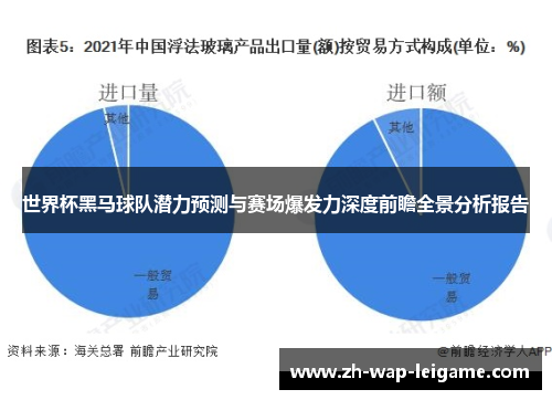 世界杯黑马球队潜力预测与赛场爆发力深度前瞻全景分析报告