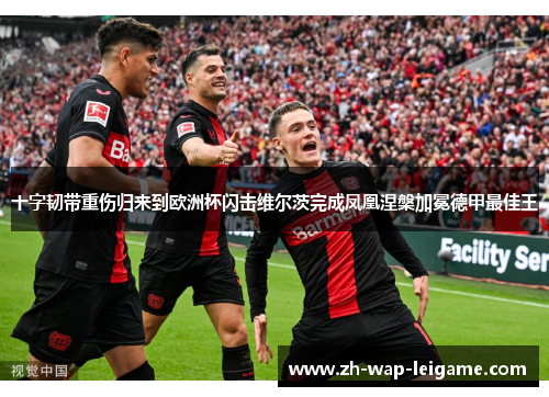 十字韧带重伤归来到欧洲杯闪击维尔茨完成凤凰涅槃加冕德甲最佳王
