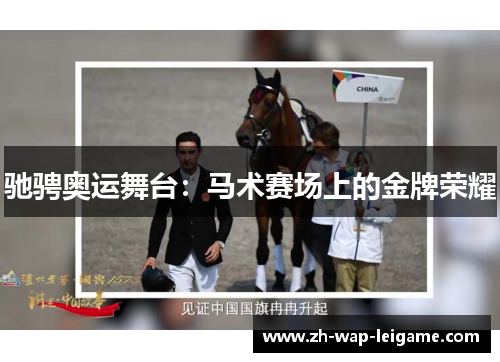 驰骋奥运舞台：马术赛场上的金牌荣耀